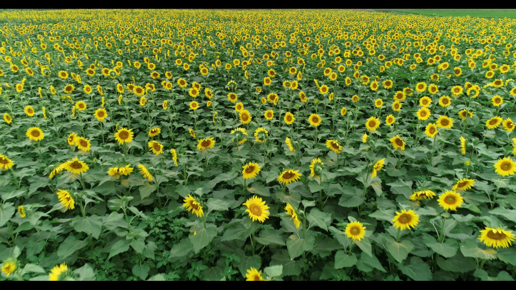 Ohara 水道工事 水廻りリフォーム オール電化のことなら兵庫県佐用郡佐用町の小原ポンプへ